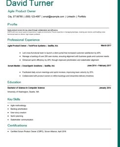 Agile product owner resume