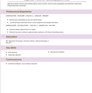 Agile scrum master resume